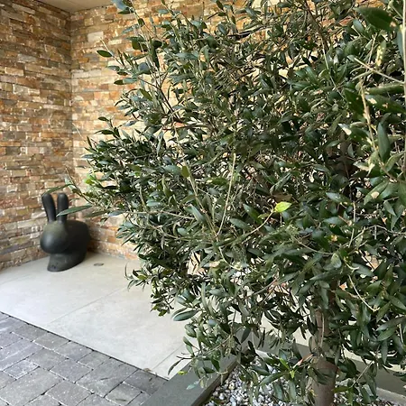 Villa Casa Stella Lège-Cap-Ferret