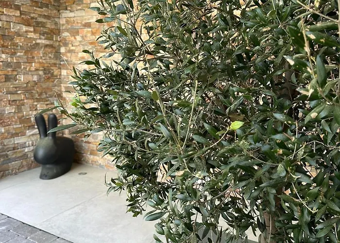 Villa Casa Stella Lège-Cap-Ferret